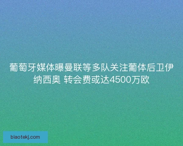葡萄牙媒体曝曼联等多队关注葡体后卫伊纳西奥 转会费或达4500万欧