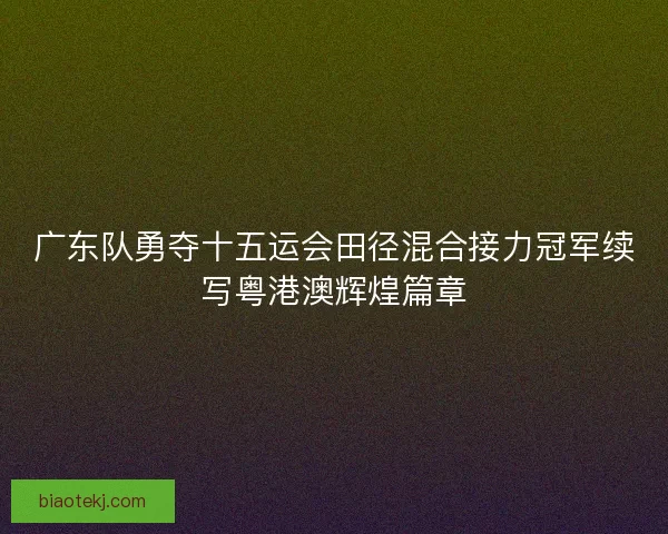 广东队勇夺十五运会田径混合接力冠军续写粤港澳辉煌篇章